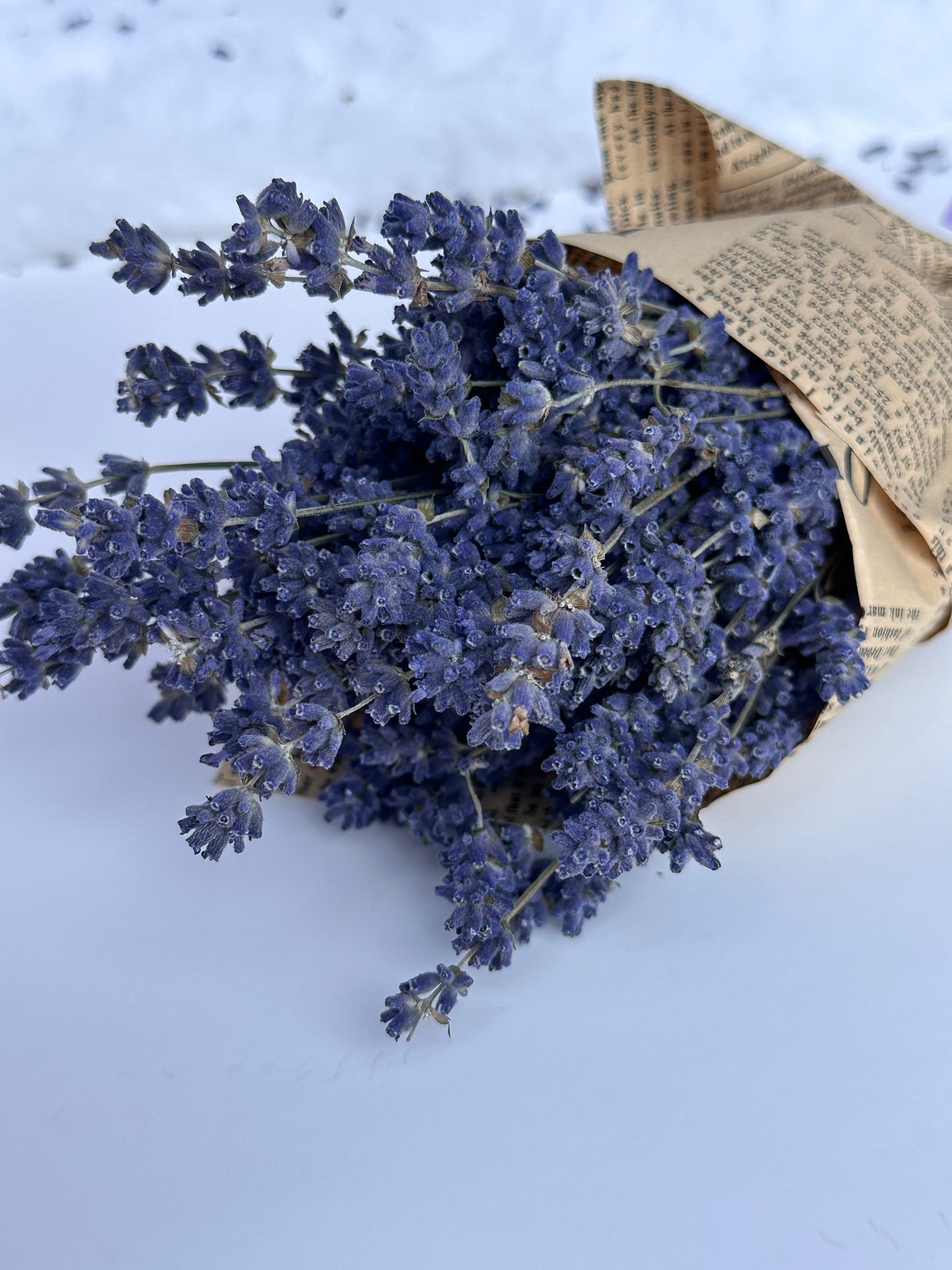 Lavender Dry Bouquet Small