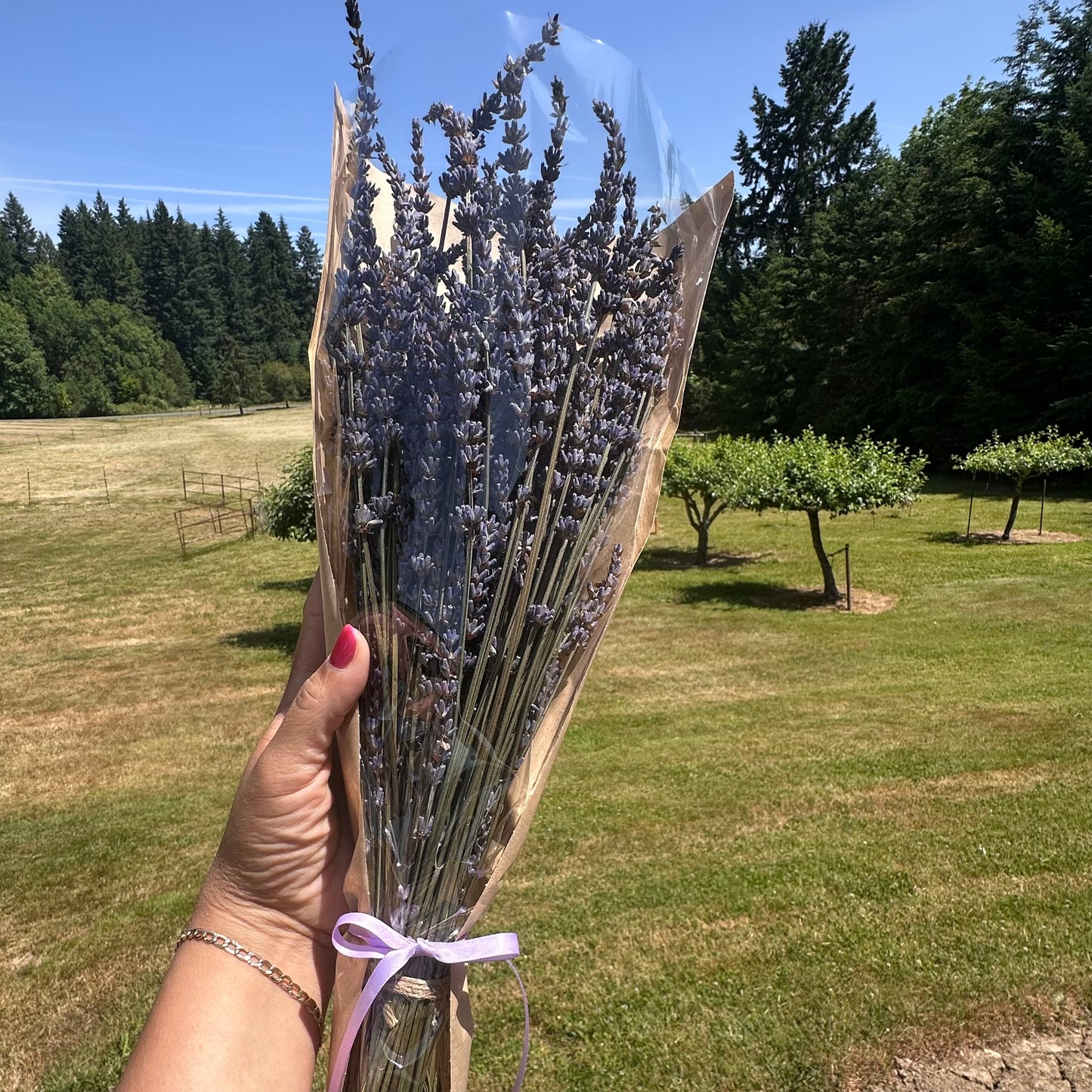 Lavender Dry Bouquet (Large)