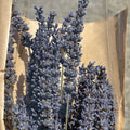 Lavender Dry Bouquet (Large)
