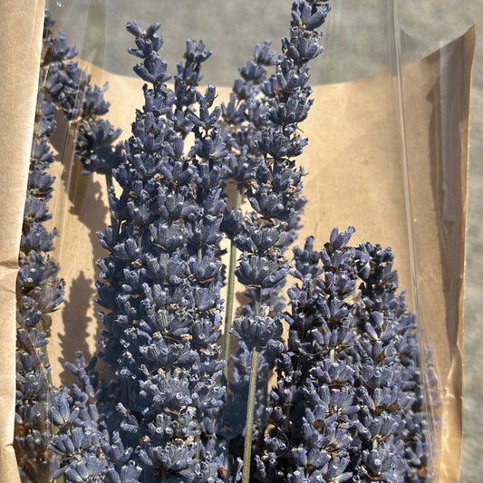Lavender Dry Bouquet (Large)